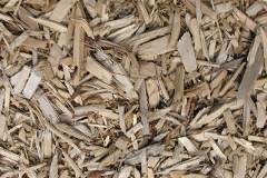 biomass boilers Tedstone Wafer